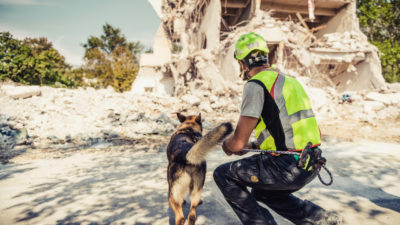 Dog are Unsung Heroes - Happy Breath