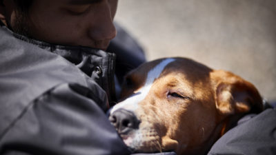 Dogs and Mental Health - Happy Breath