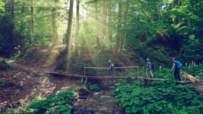 Hiking Trails - Happy Breath