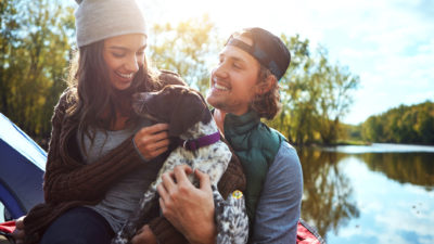 Camping With Dogs
