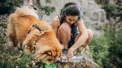 Hiking Gear for Dogs - Happy Breath