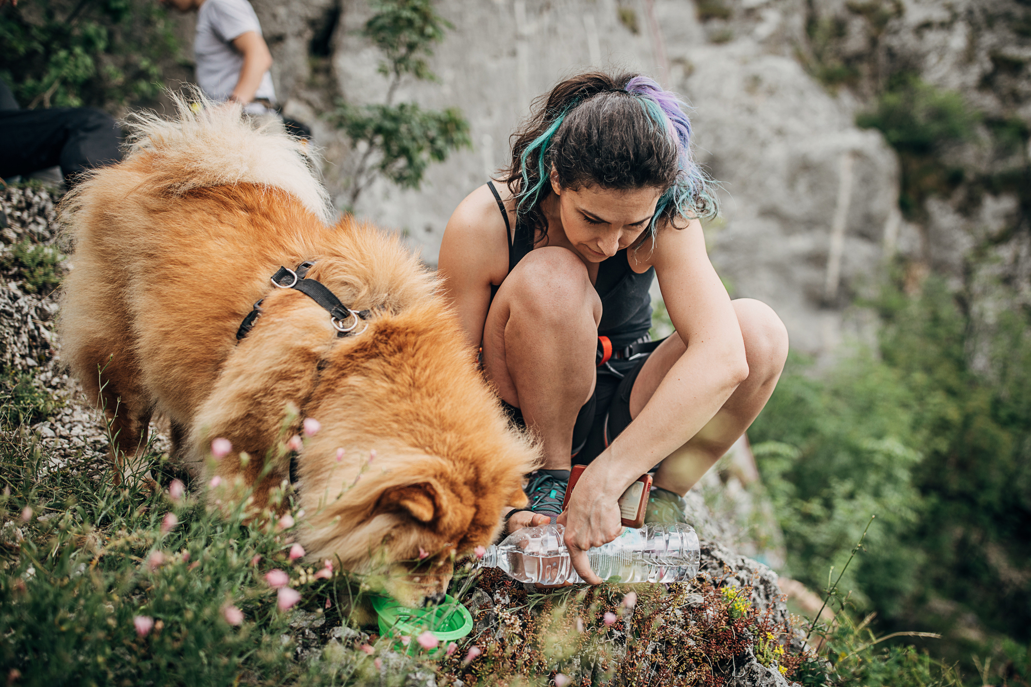 Hiking Gear for Dogs - Happy Breath