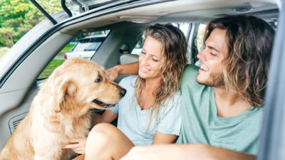 Keep your dog healthy