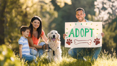 Dog Adoption - Happy Breath