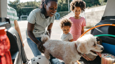 How To Travel With Dogs - Happy Breath