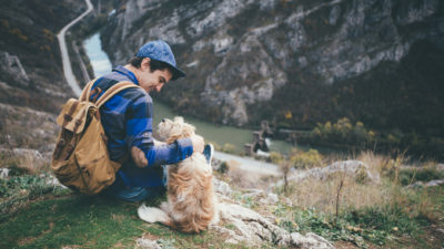 Mountain Hiking With Your Dog - Happy Breath