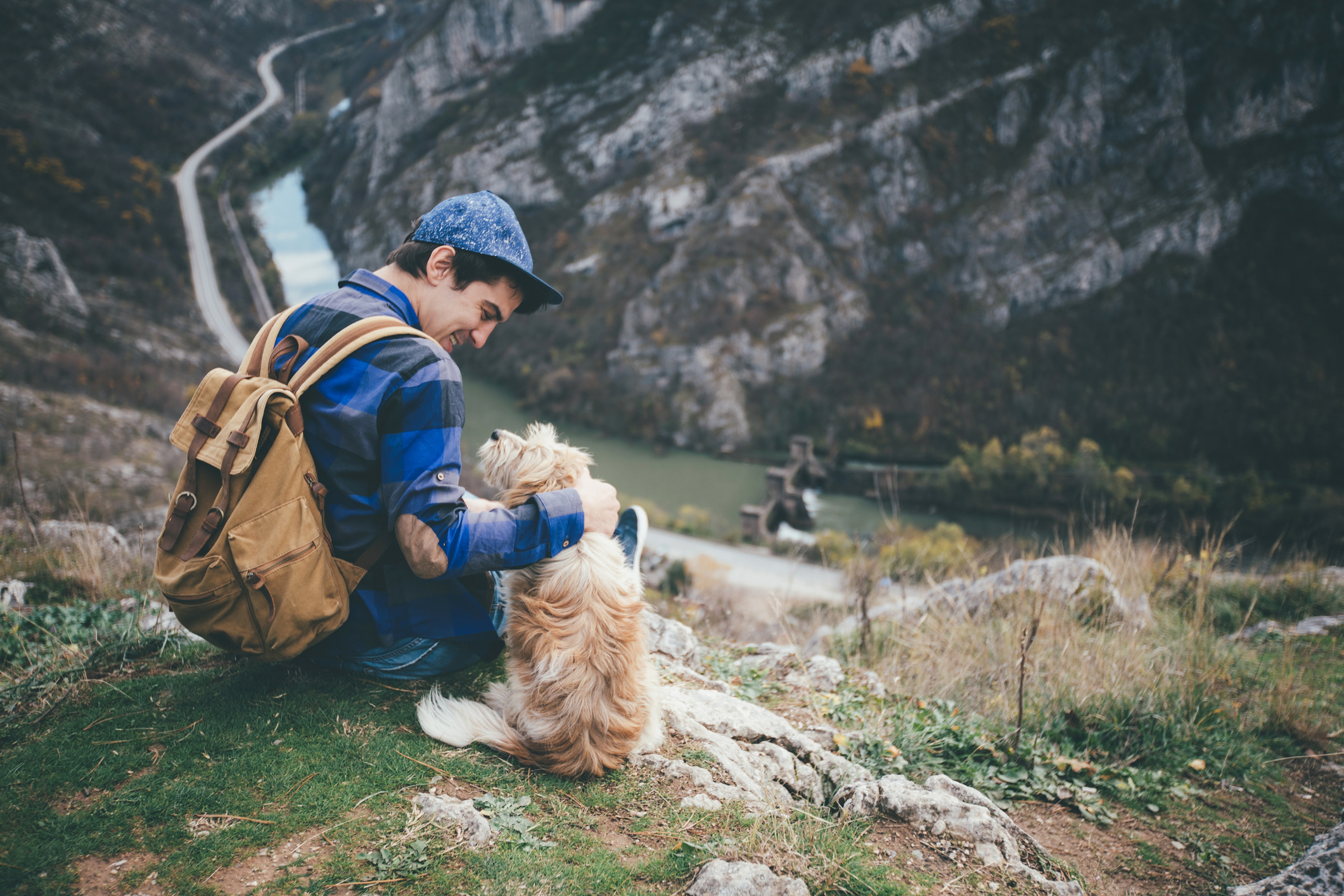 Mountain Hiking With Your Dog - Happy Breath