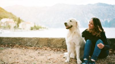 Taking Care of a Senior Dog - Happy Breath