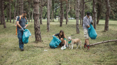 Train Your Dog to Pick Up Plastic Trash - Happy Breath