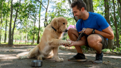 Train your dog for an Outdoor hiking