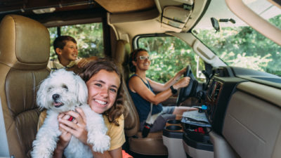 What To Pack When Camping With Dogs