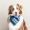 Indigo Mud Cloth Dog Bandana - Image 2