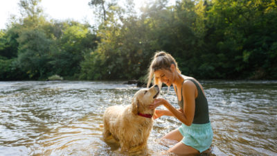 Taking Your Dog Swimming