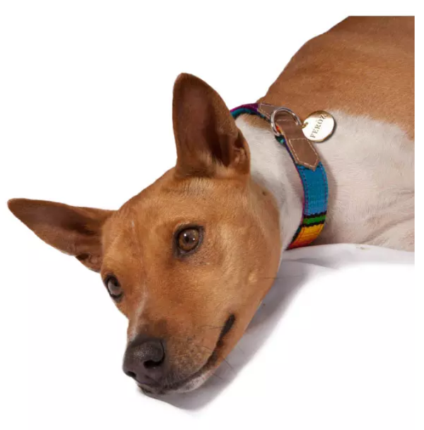 Artisan Maya Dog Collar Happy Breath Image3.jpg