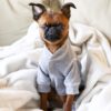 Heather Grey Thermal Dog Pajamas - Happy Breath 3