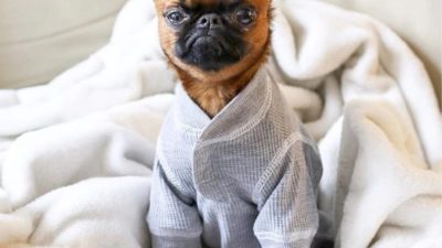 Heather Grey Thermal Dog Pajamas - Happy Breath 3