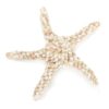 Cotton Rope Starfish Dog Toy - Image 4