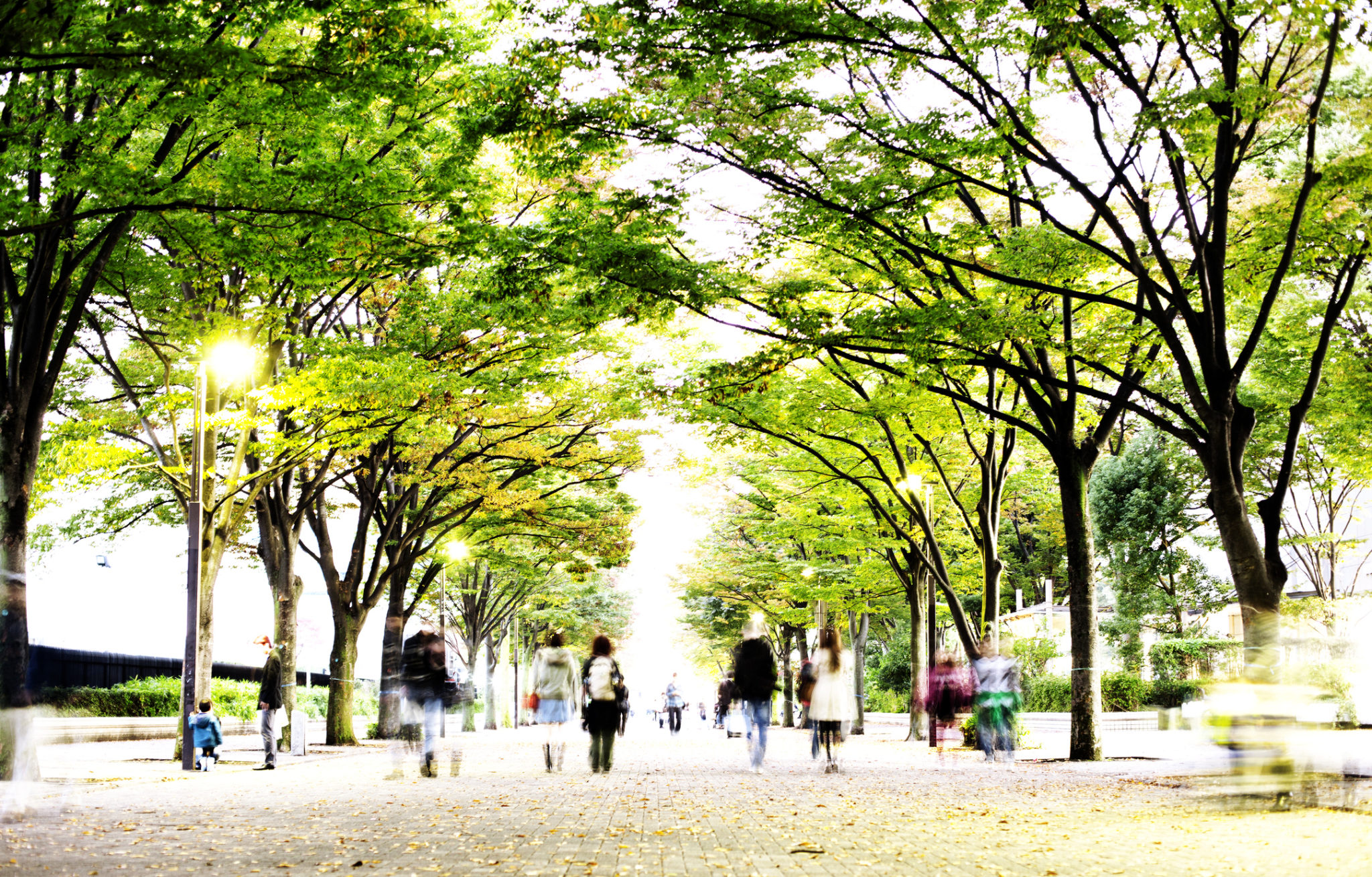 Green Street What Are "Green Streets," and How Do They Work?