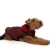 Quilted Shearling Dog Coat - Olive - Image 4
