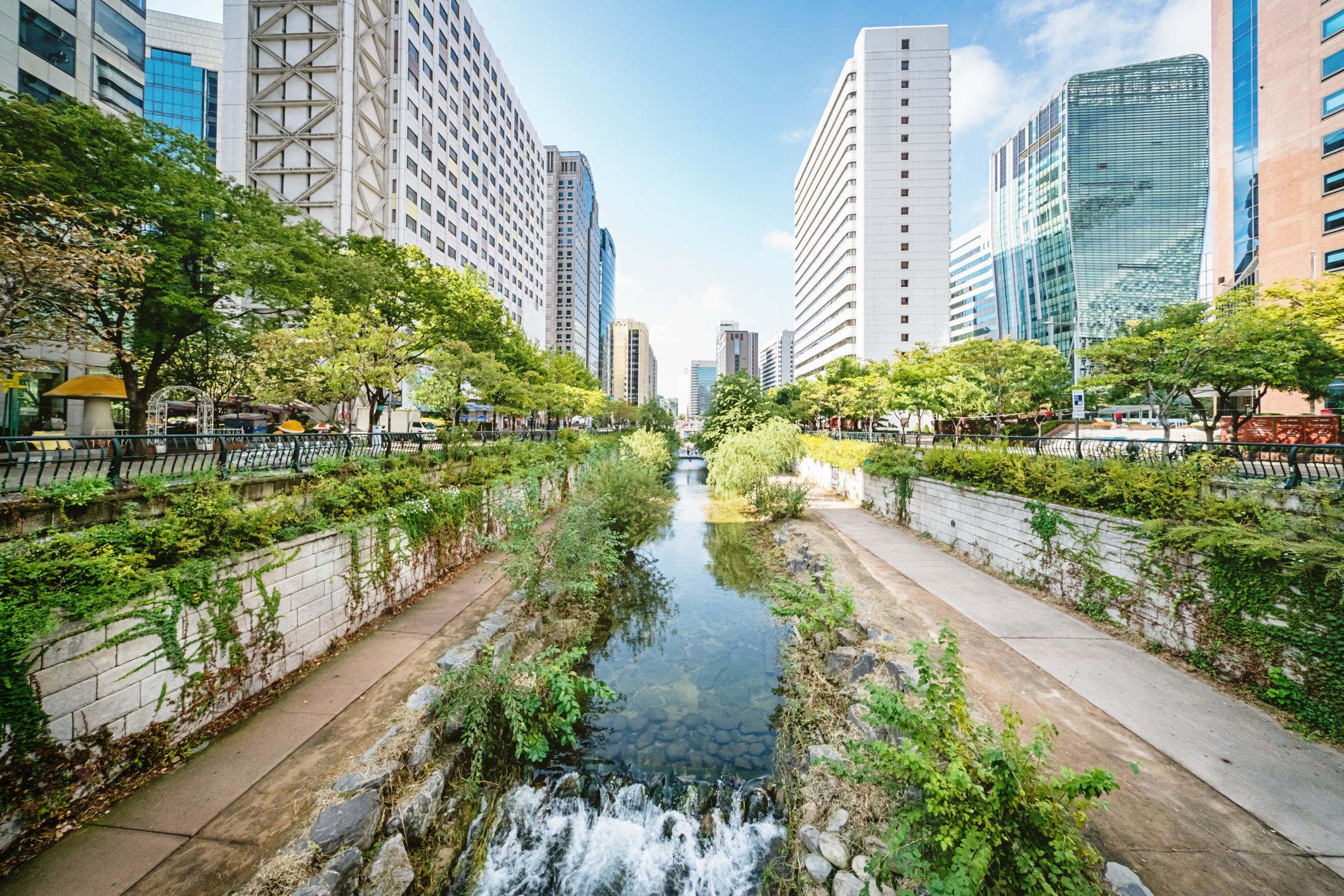 Saving Urban Rivers
